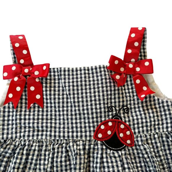 Rare Editions Gingham Ladybug Dress Size 3T - Picture 2 of 5